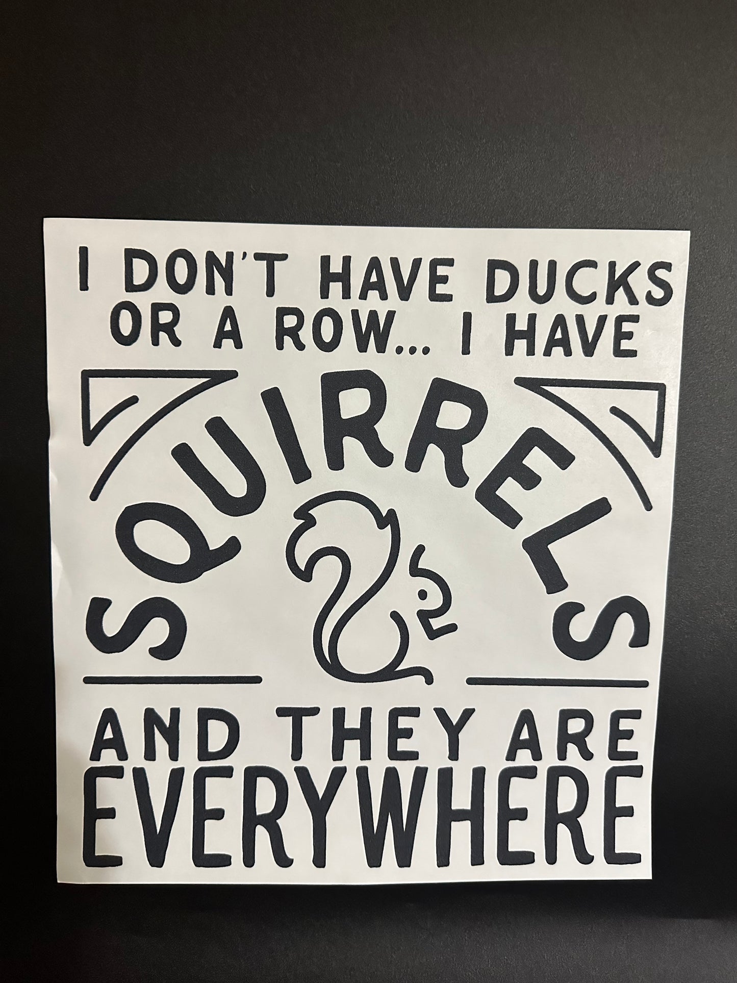 I Don't Have Ducks Or A Row Black