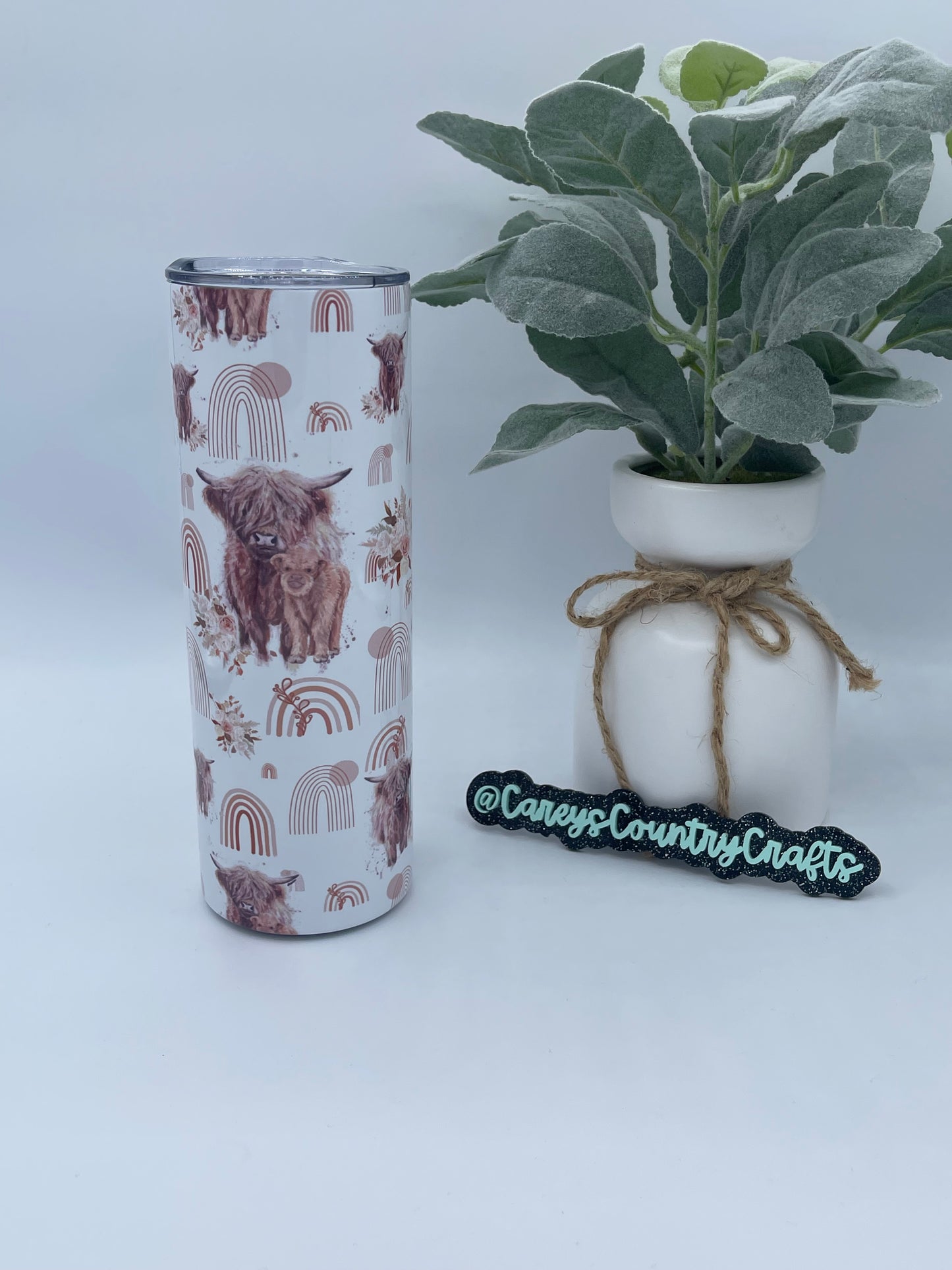 Highland Boho Rainbows Tumbler